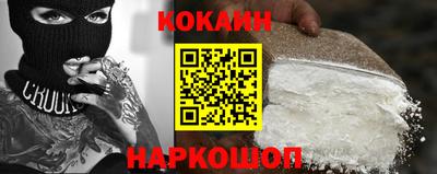 крисы Шелехов