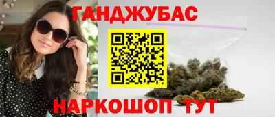 крисы Шелехов