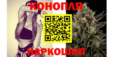 крисы Шелехов