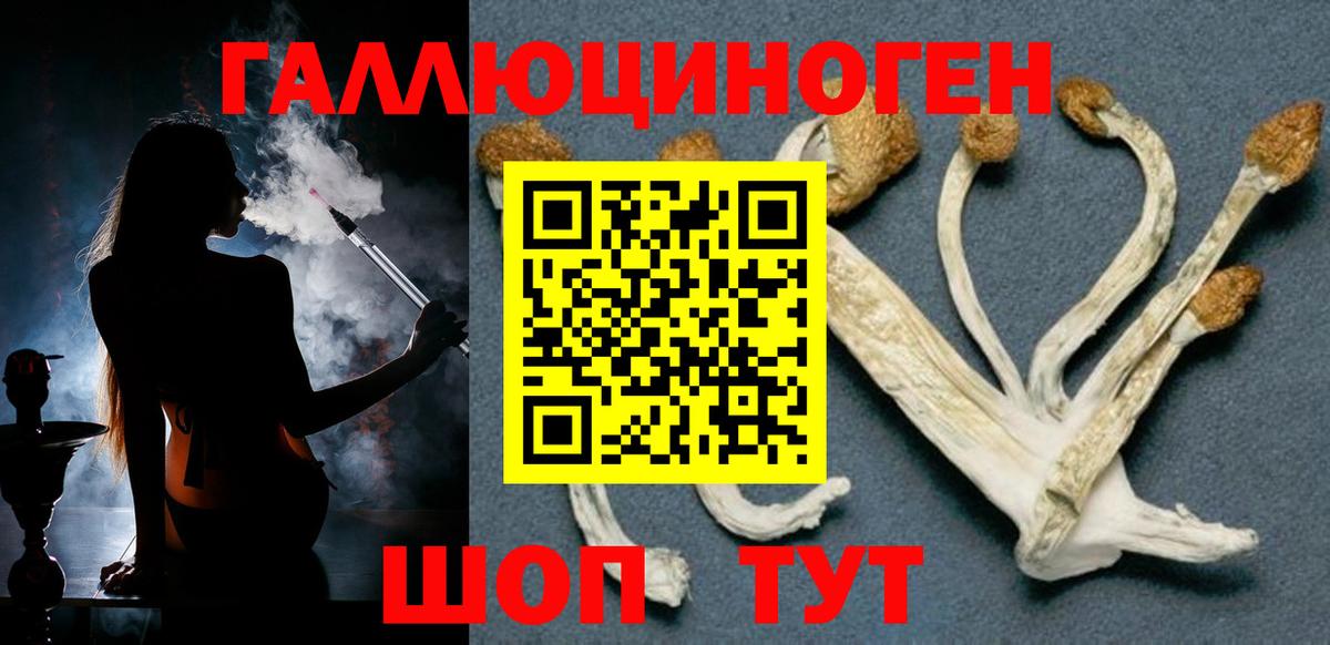Псилоцибиновые грибы GOLDEN TEACHER Рубцовск